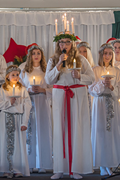 Julmarknad_2015